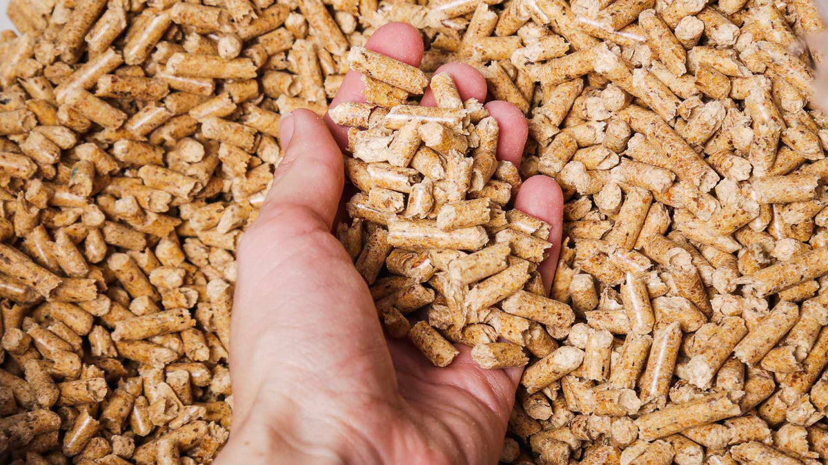 LKW-Ladung Premium-Holzpellets (Komplettladung)