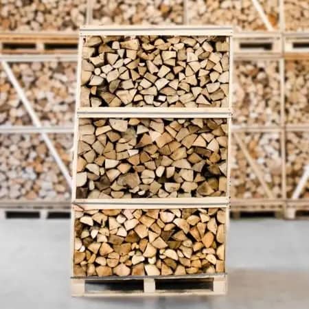 Hainbuchen-Brennholz kammergetrocknet & gespalten – 25 cm (ofenfertig)