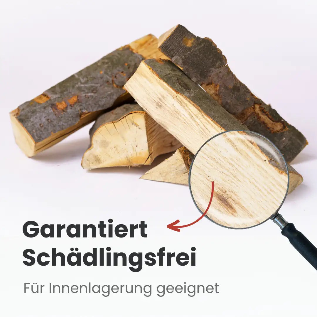 Vorteilspaket: Buchen-Kaminholz (4 Ster / Raummeter)