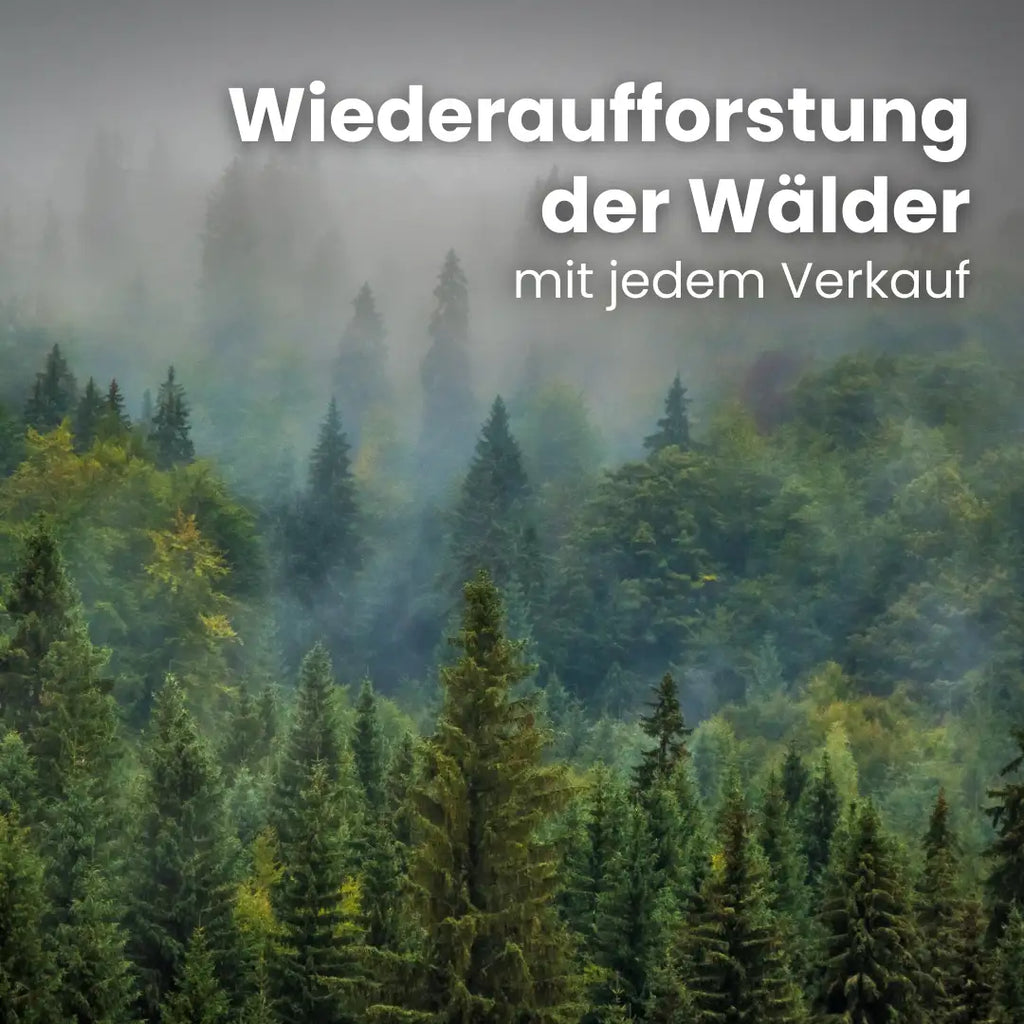 Vorteilspaket: Buchen-Kaminholz (4 Ster / Raummeter)