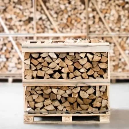 Hainbuchen-Brennholz kammergetrocknet & gespalten 25 cm – Halbe Palette
